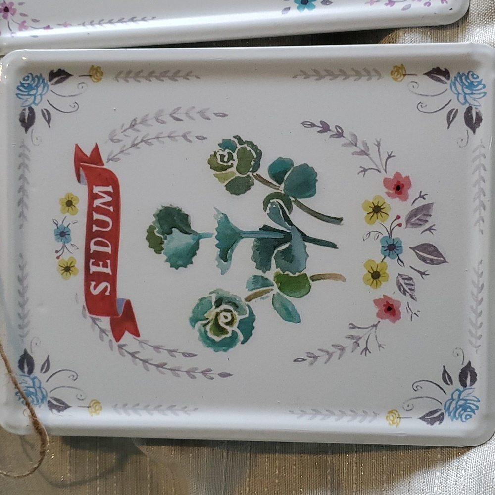 Succulent Sign Set - Picture 2 of 6